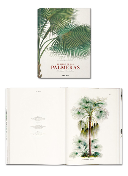 Palm Trees by Taschen